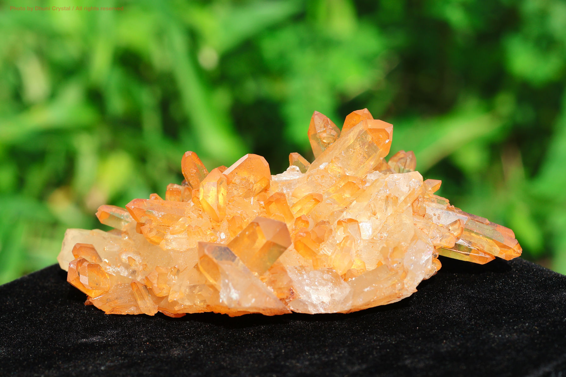 ファイヤークォーツ　薔薇　カービング ファイヤークォーツ 薔薇 カービング