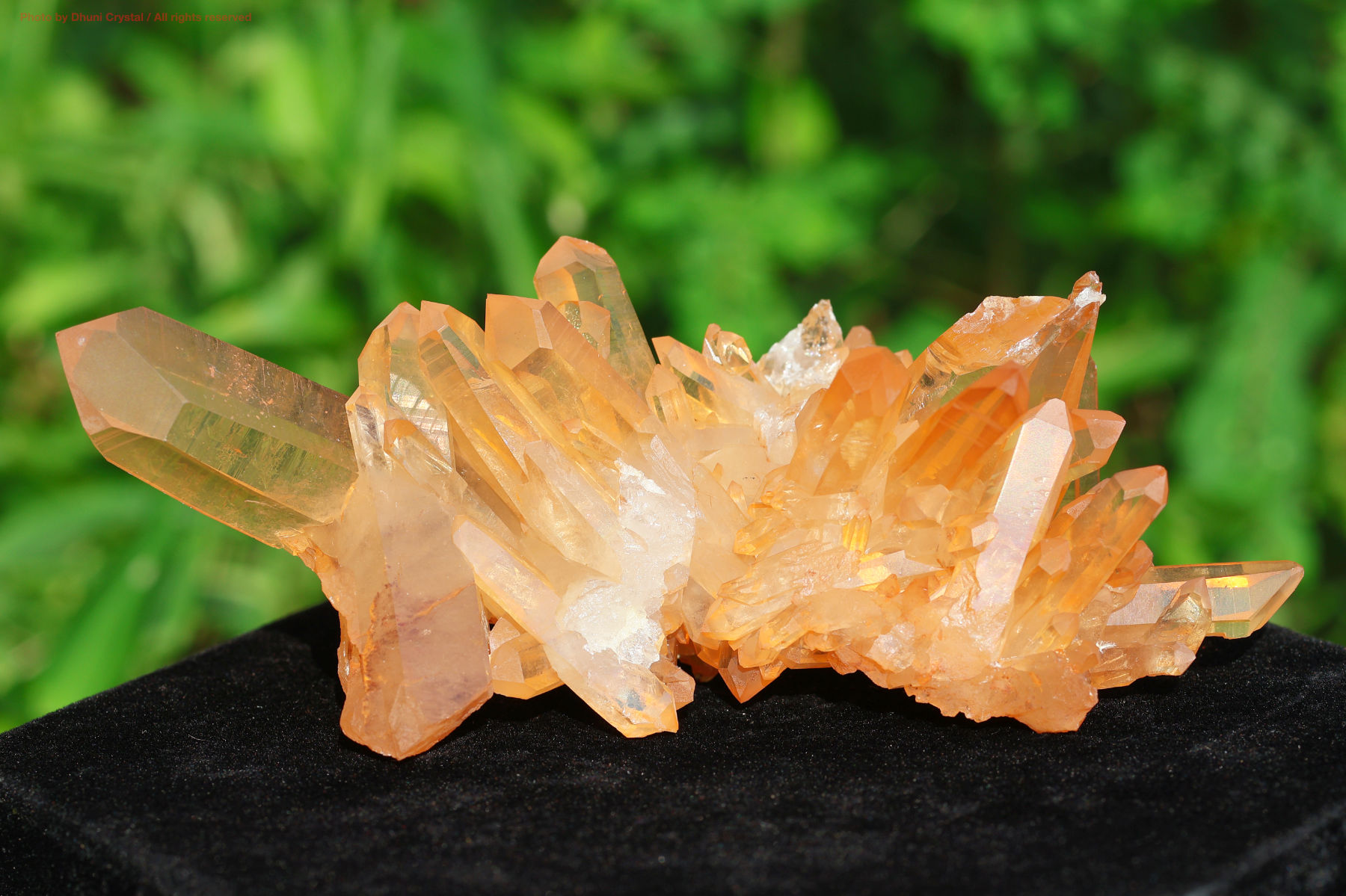 水晶クラスター ゴールデンヒーラー 特選品】ヒマラヤ産ゴールデンヒーラー水晶クラスターSA(LL