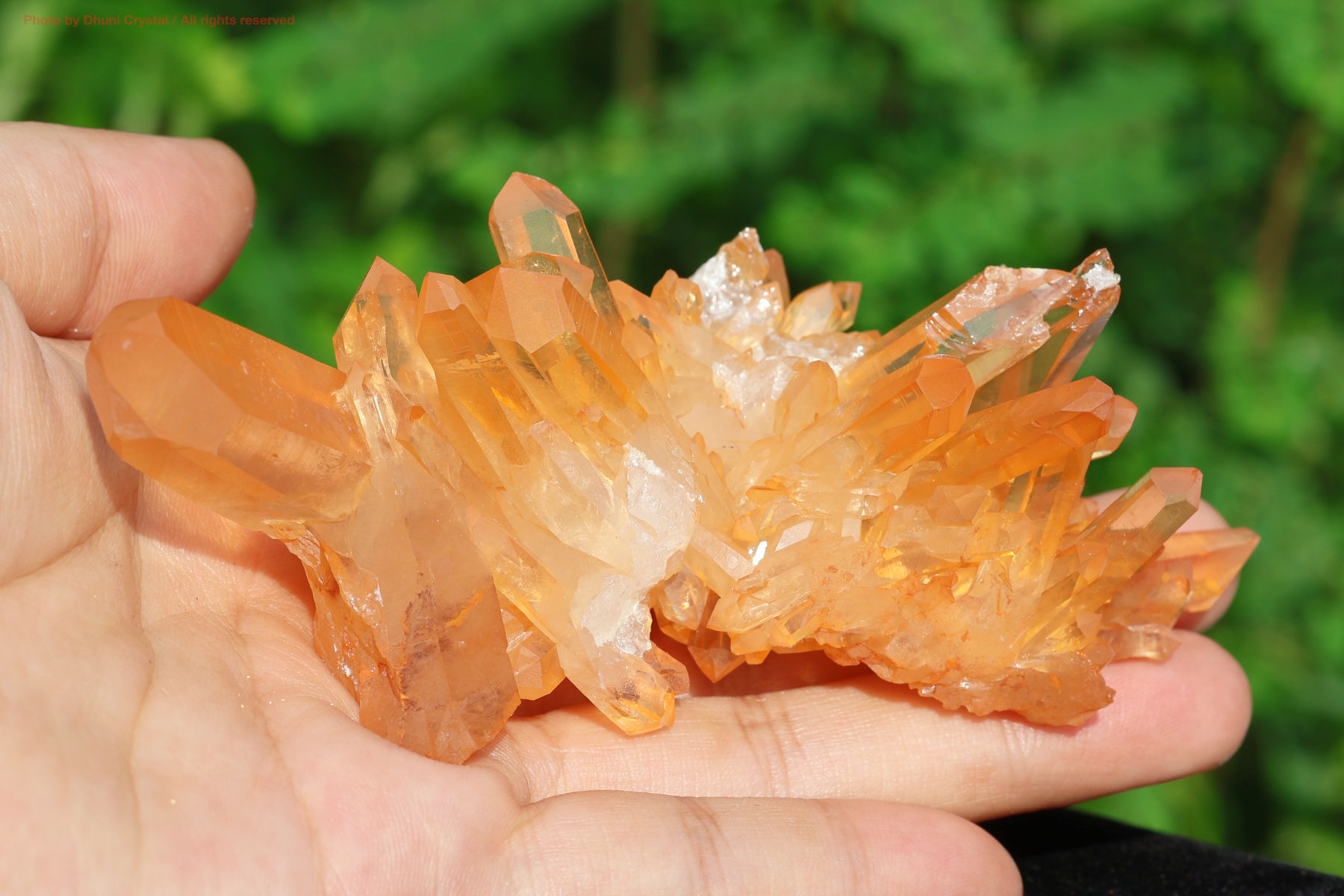 もっちページ  ゴールデンヒーラーミニクラスターとフローライトポイント もっちページ ゴールデンヒーラーミニクラスターとフローライト