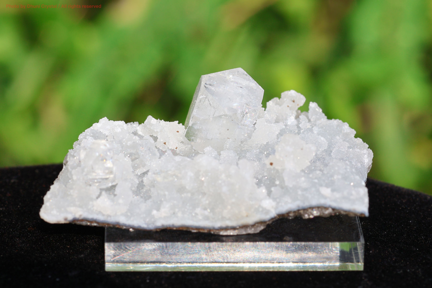 アポフィライト原石(T425)