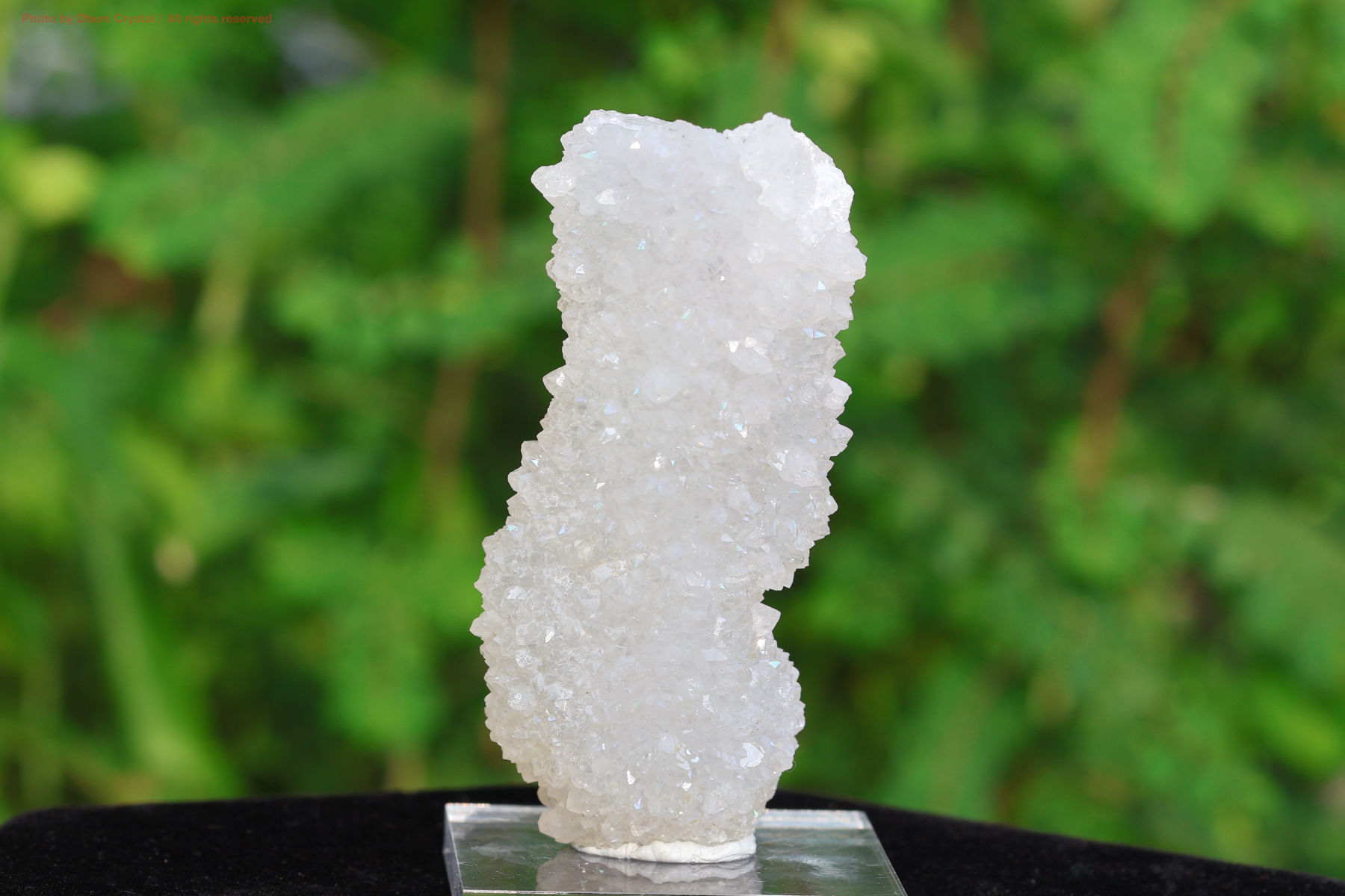 スカーレットテンプル・ピンクレムリアン｜愛と癒しの神殿を宿す