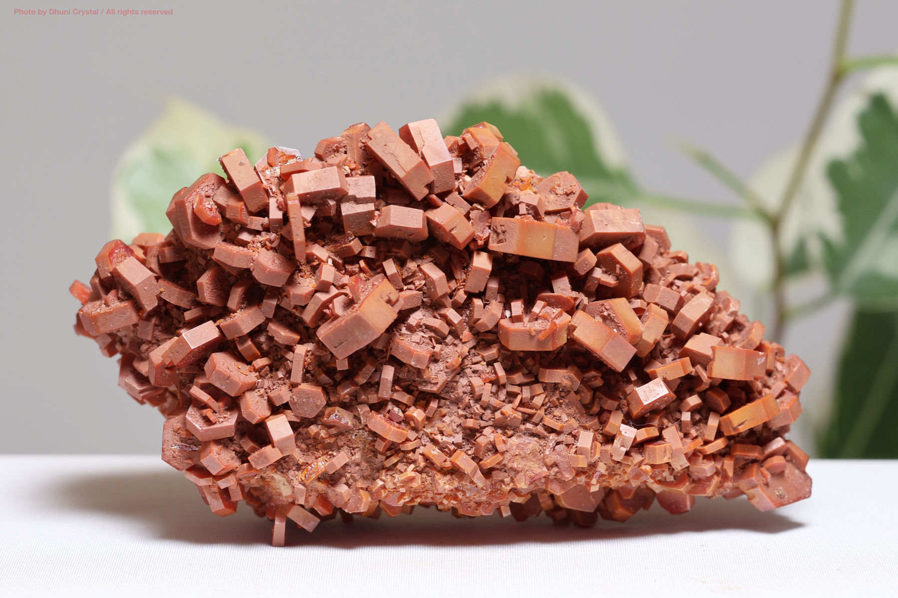 力強さと集中力を与える石 バナディナイト 天然石 鉱物標本