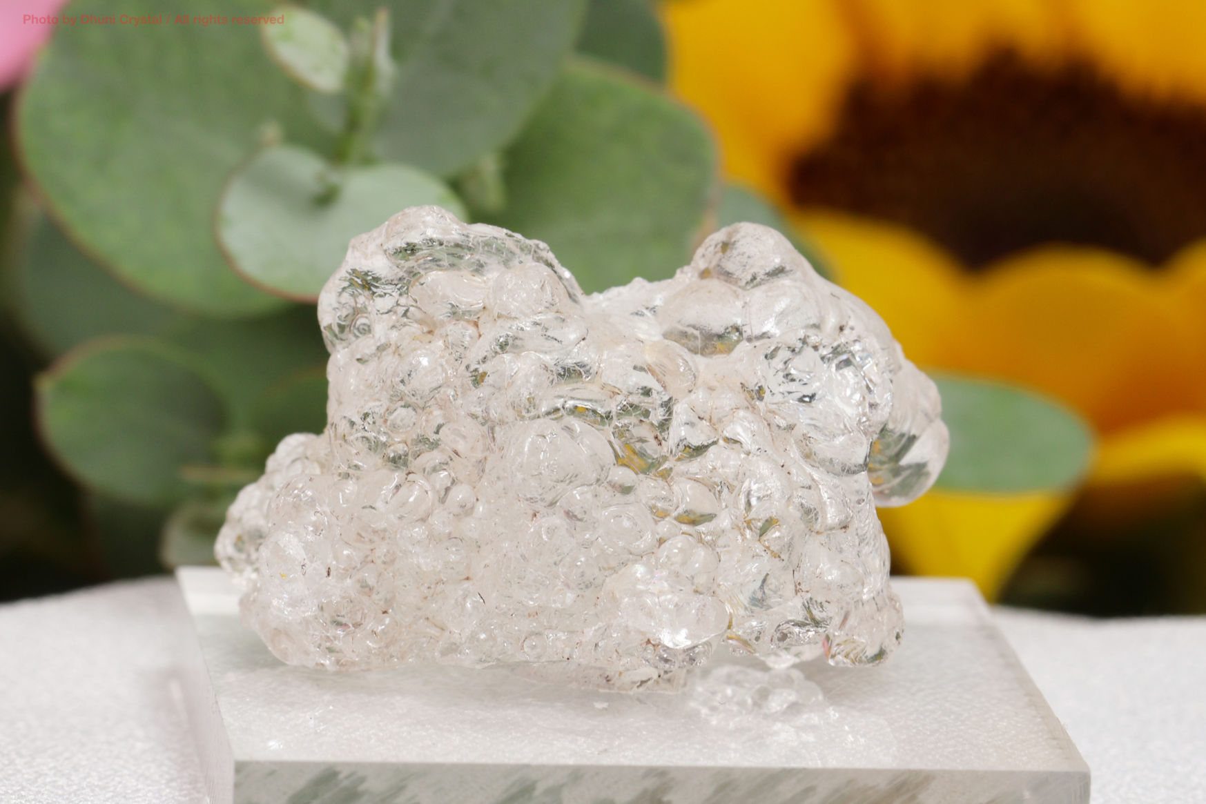 ハイアライトオパール｜蛍光グリーンに輝く不思議な石