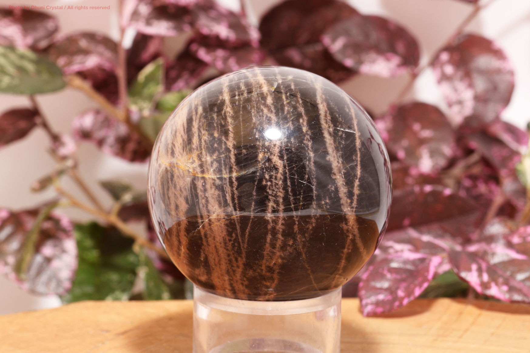 ブラックサンムーンストーン スフィア 約65mm サン ムーンストーン