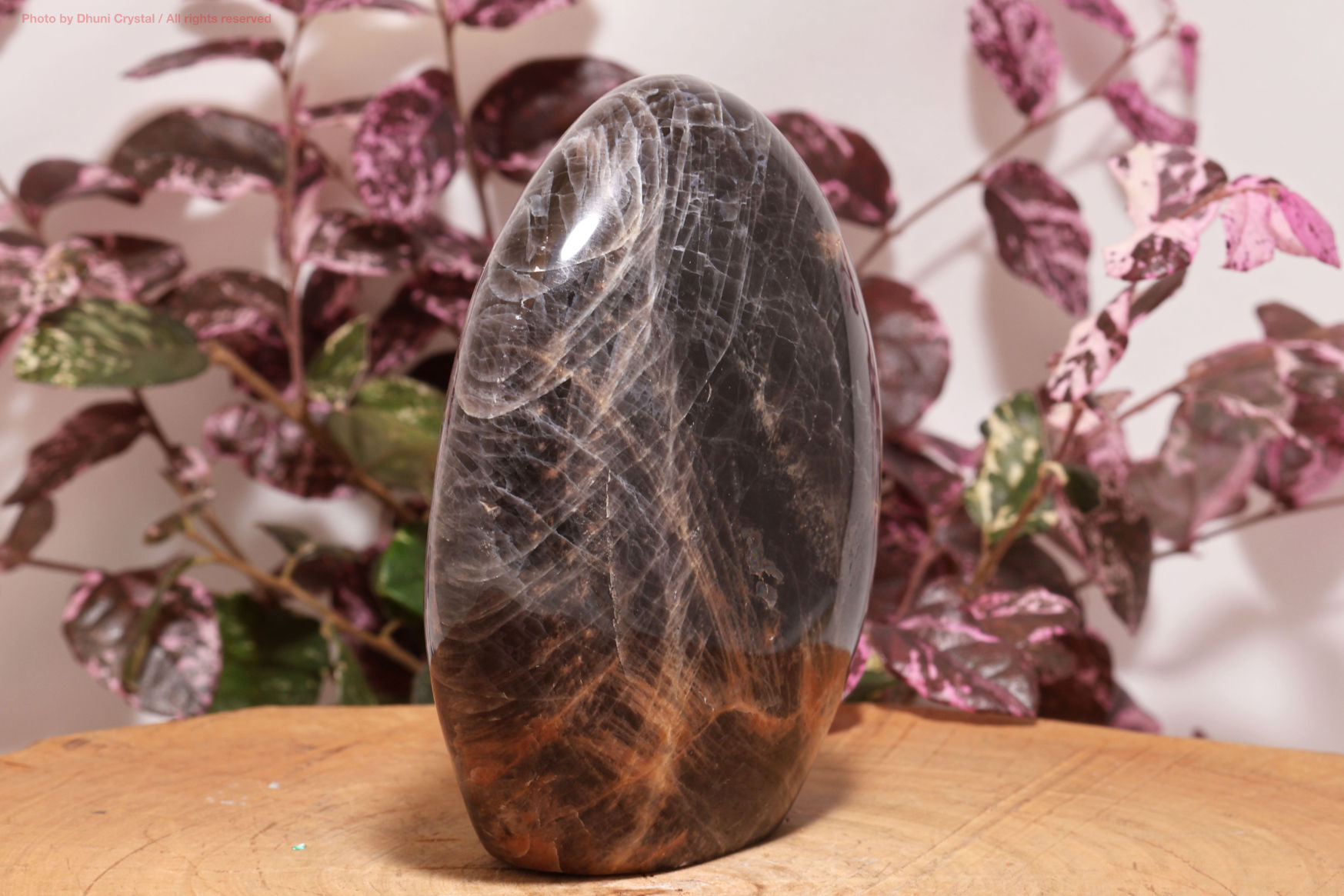 ビッグ ブラックムーンストーン ブラックムーンストーン｜直感と癒しの守護石