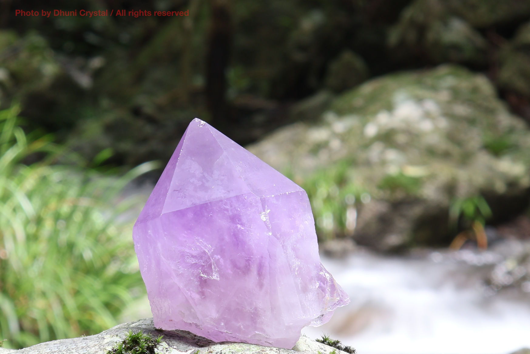 ゴールデン・オーラスターライト23原石(新オーラライト23)/(T233)