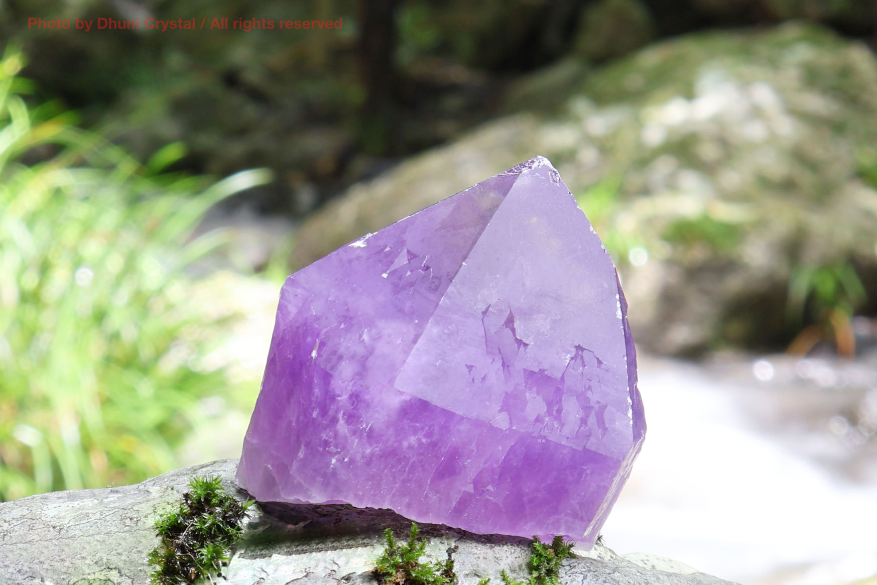 Rare color♥︎ パステル　アメジスト　原石　スピリットクォーツ ✨ アメジスト・スピリットクォーツ／カクタスクォーツA877)