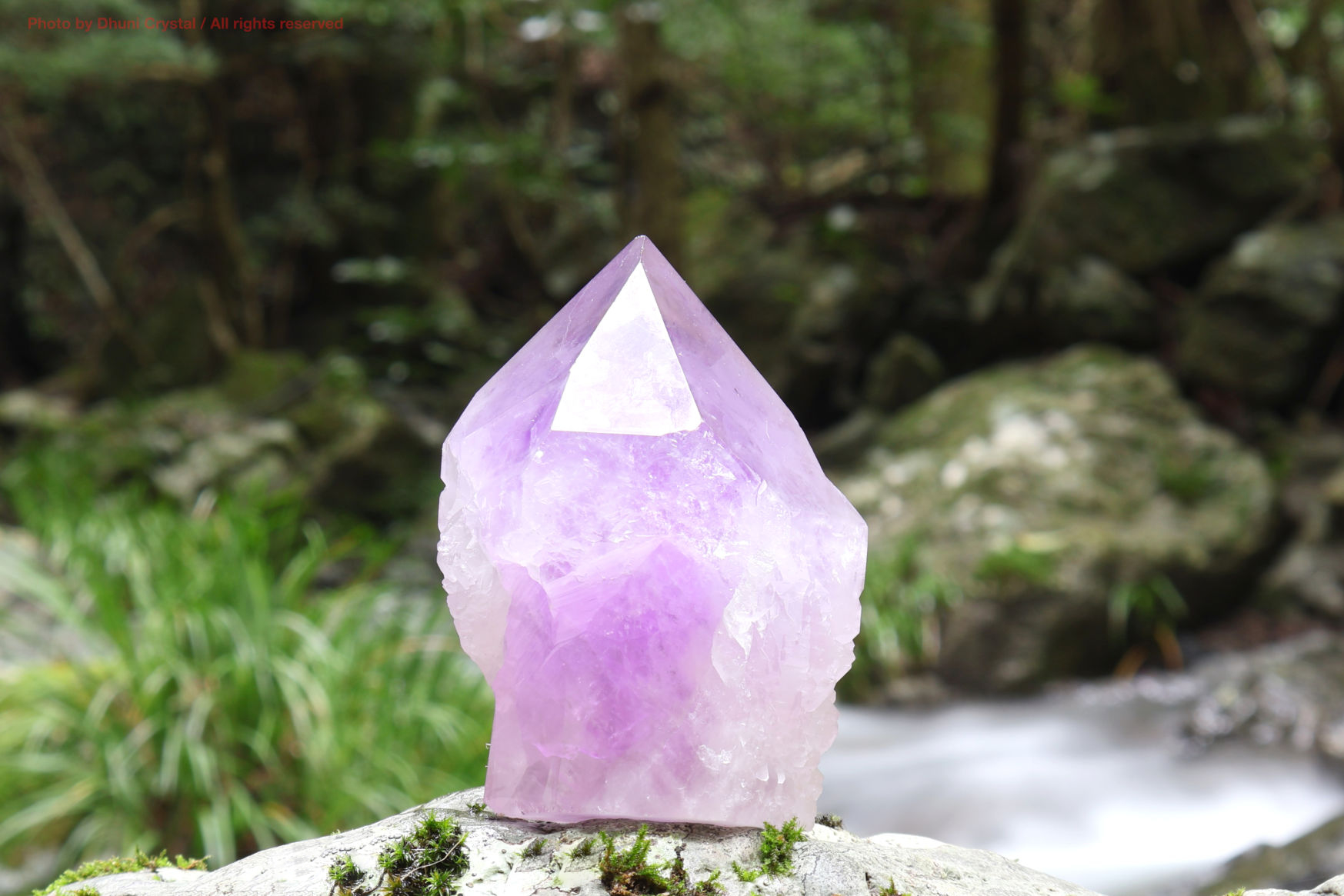 071111 ホワイトセージ＋アメジスト原石＋セレナイト原石 071111 ホワイトセージ＋アメジスト原石＋セレナイト原石 Amazon