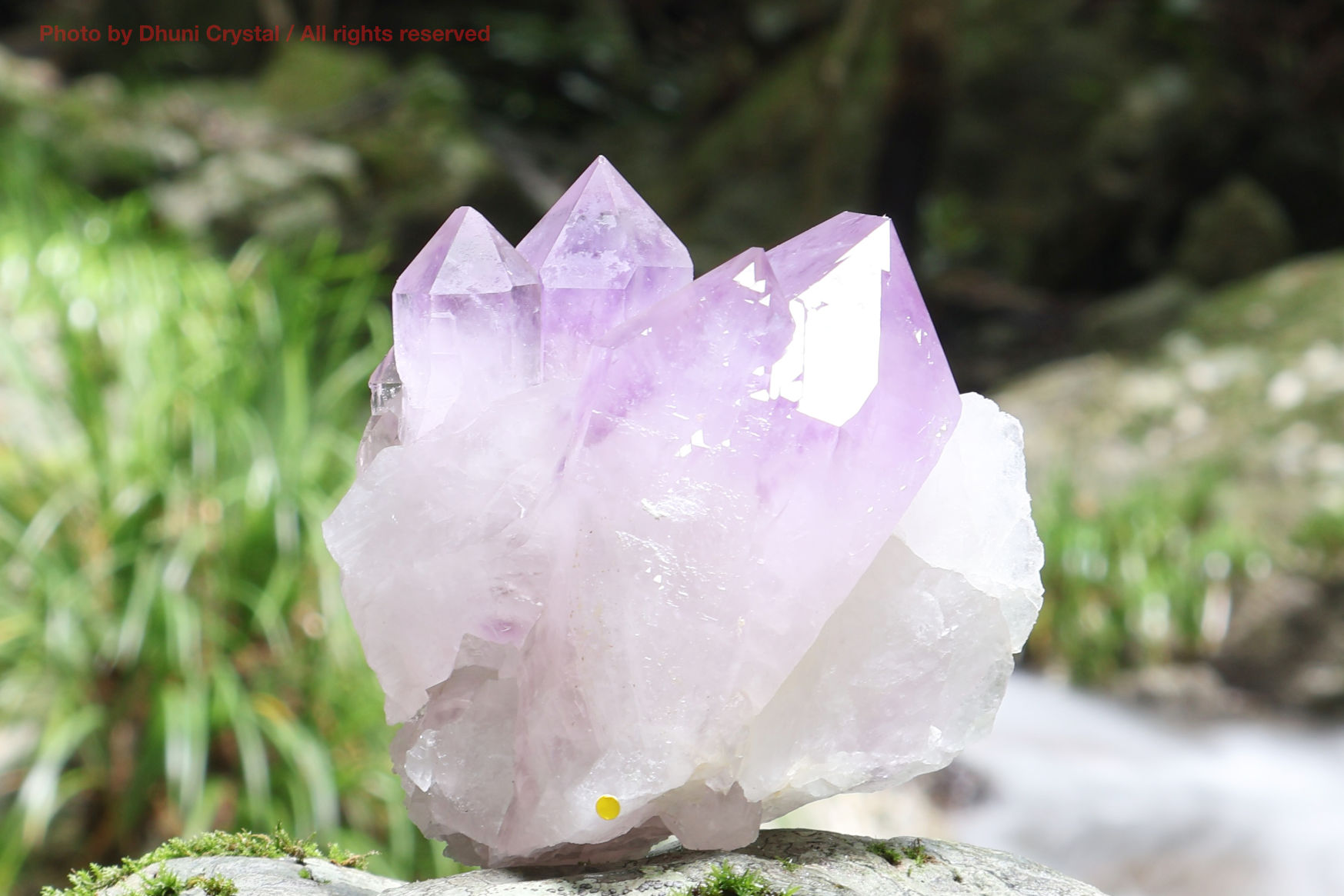 プルームアゲートスカイダブレット R764 プルームアゲートスカイダブレット R764 プルームアゲートスカイ