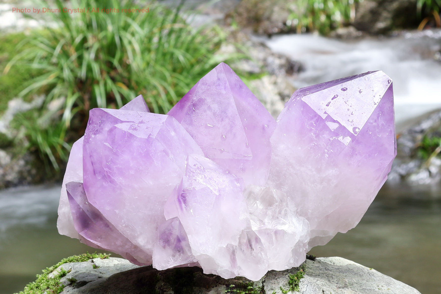 ローザサイト&セレナイト/共生鉱物(J271)