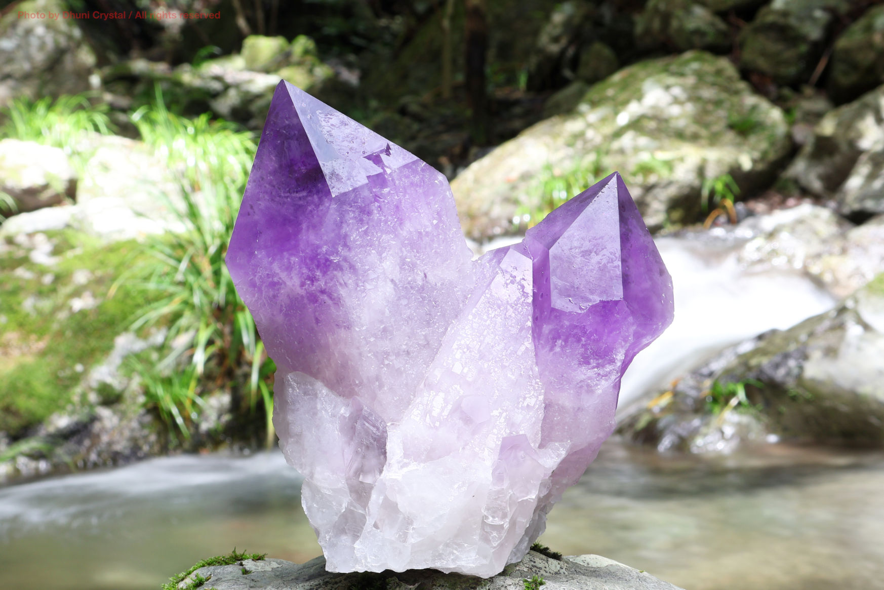 スカーレットテンプル・ピンクレムリアン｜愛と癒しの神殿を宿す