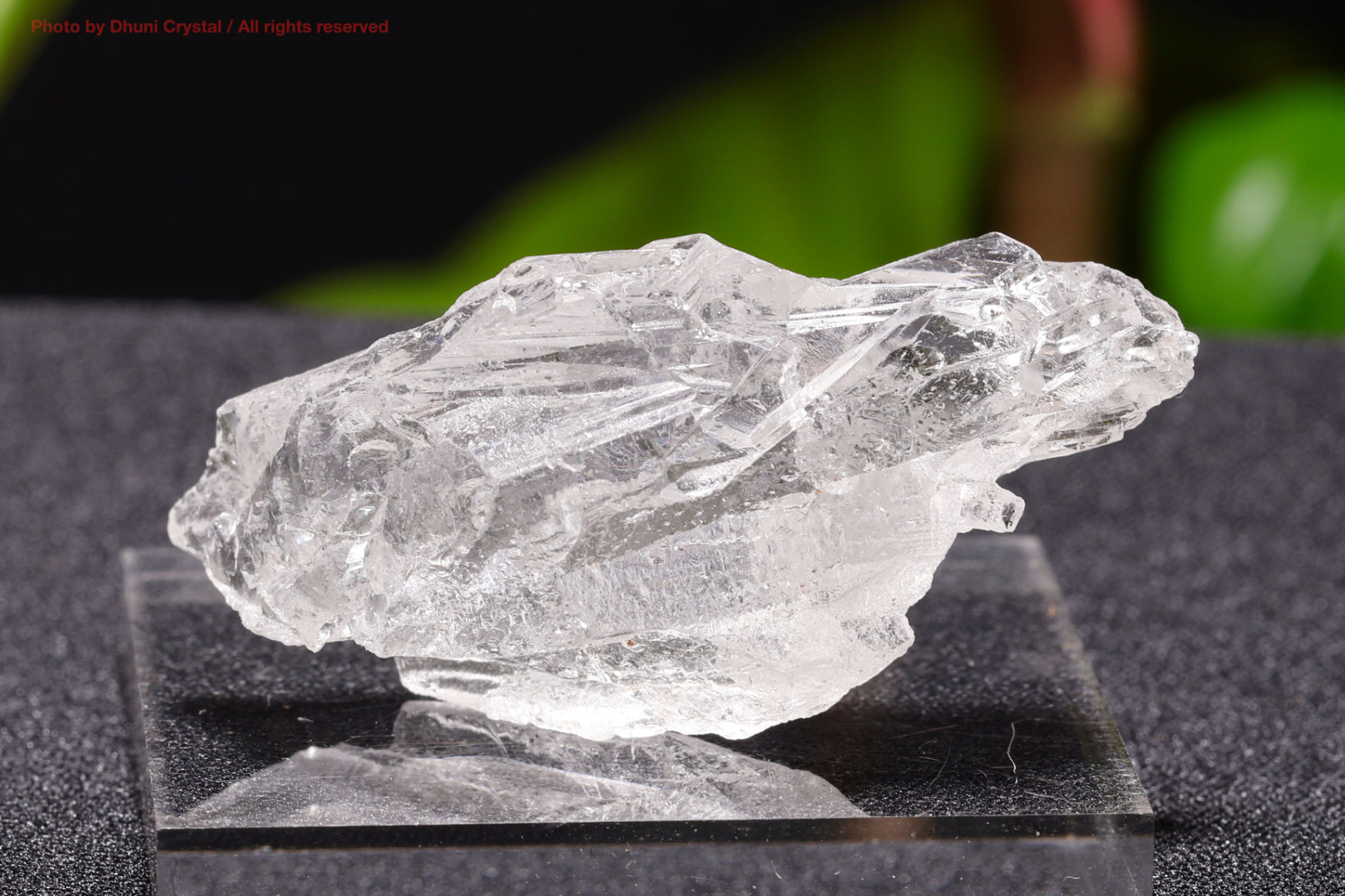 レムリアンルーツ　レムリアンルーツクリスタル　ビッグポイント　1000g レムリアンルーツクリスタル｜太古の記憶と繋がる神秘の石