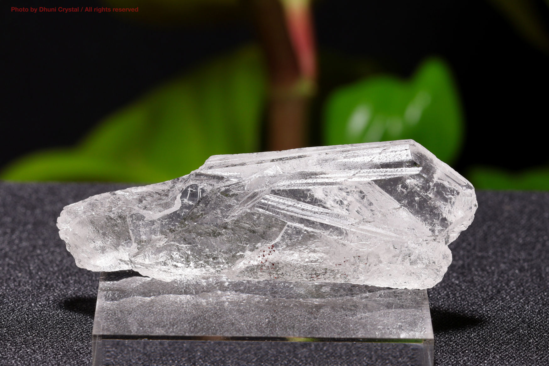 （elestial5）ブラジル産エレスチャルスモーキークォーツ/ジャカレー水晶 スモーキー・エレスチャル/ジャカレー(W95)