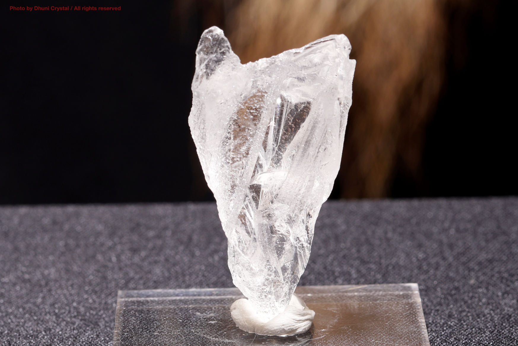 エイリアン・アメジスト(A646)