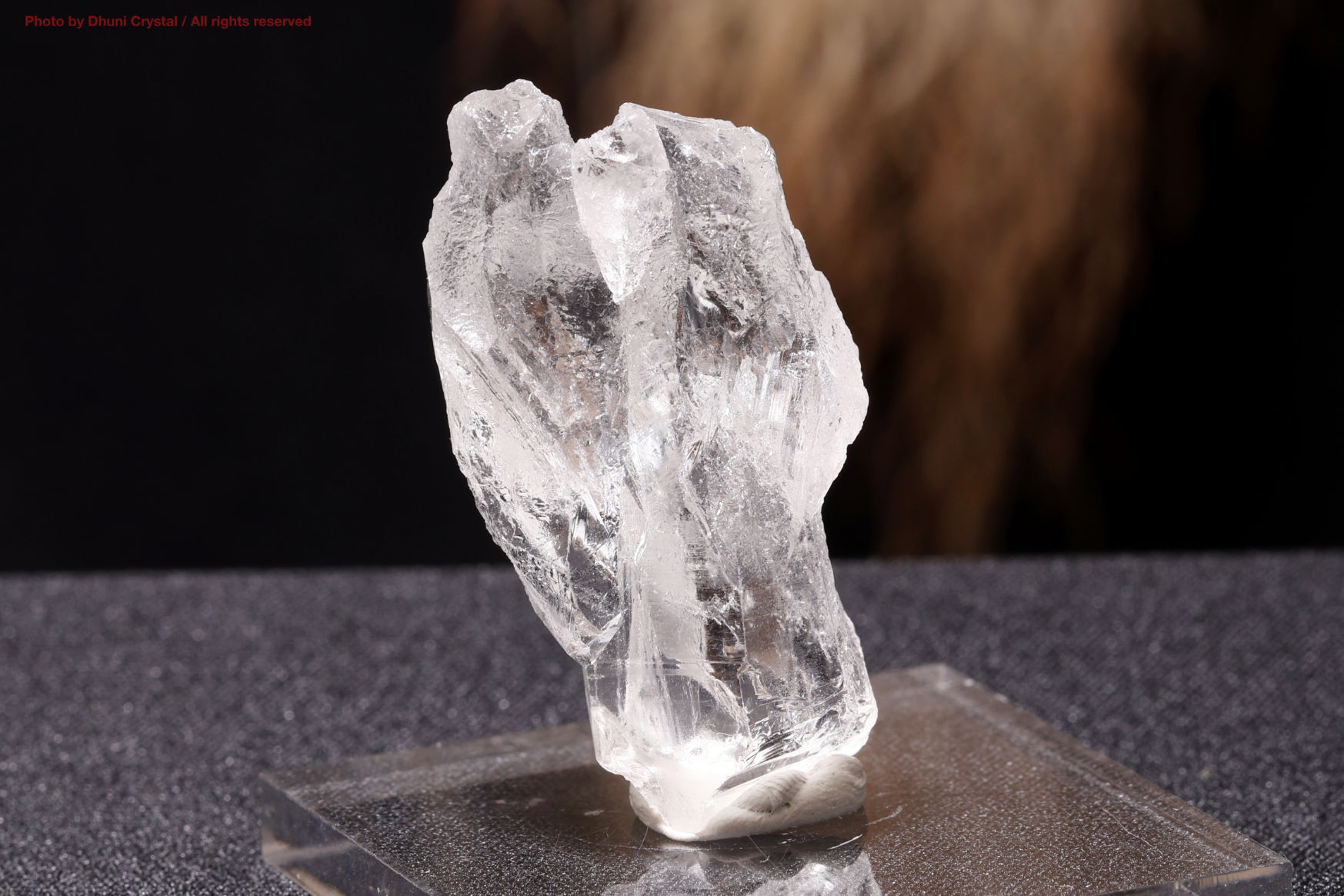 ピュアレイ レムリアンルーツ 原石 クリスタル 天然石 水晶 鉱物 一点