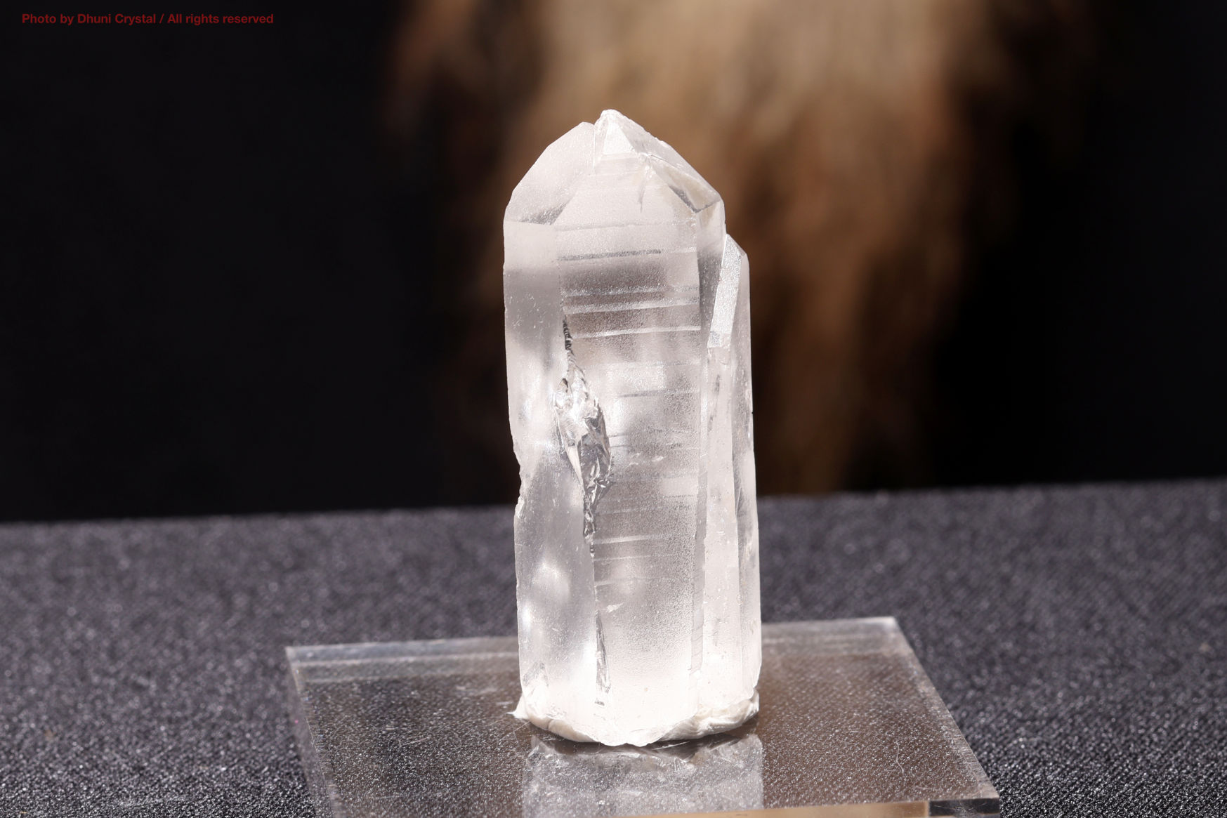 エイリアン・アメジスト(A647)