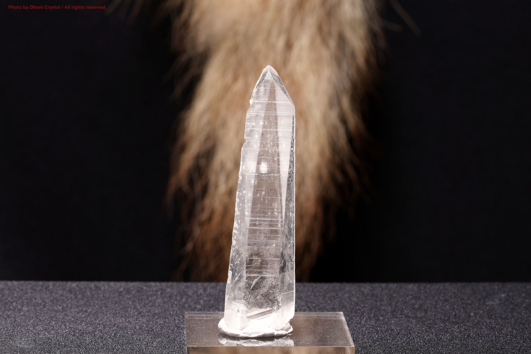 スカーレットテンプル・ピンクレムリアン｜愛と癒しの神殿を宿す