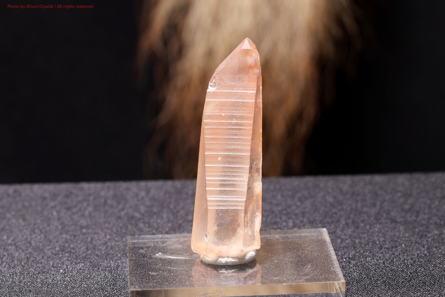 スカーレットテンプル・ピンクレムリアン｜愛と癒しの神殿を宿す