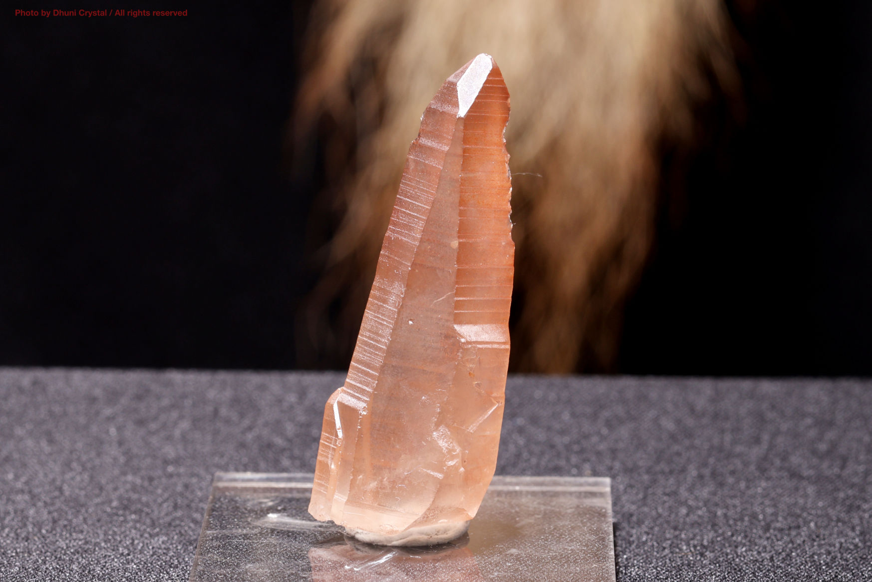 スカーレットテンプル・ピンクレムリアン｜愛と癒しの神殿を宿す