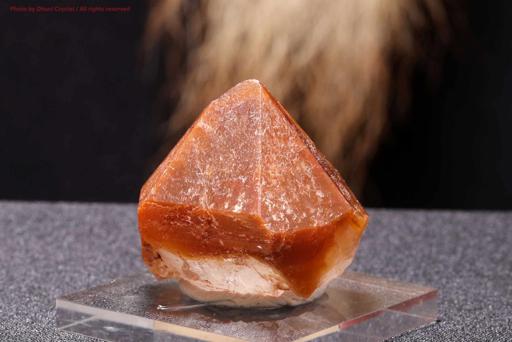 レッドドリームコート・レムリアン｜情熱と覚醒を導く幻のレムリア水晶