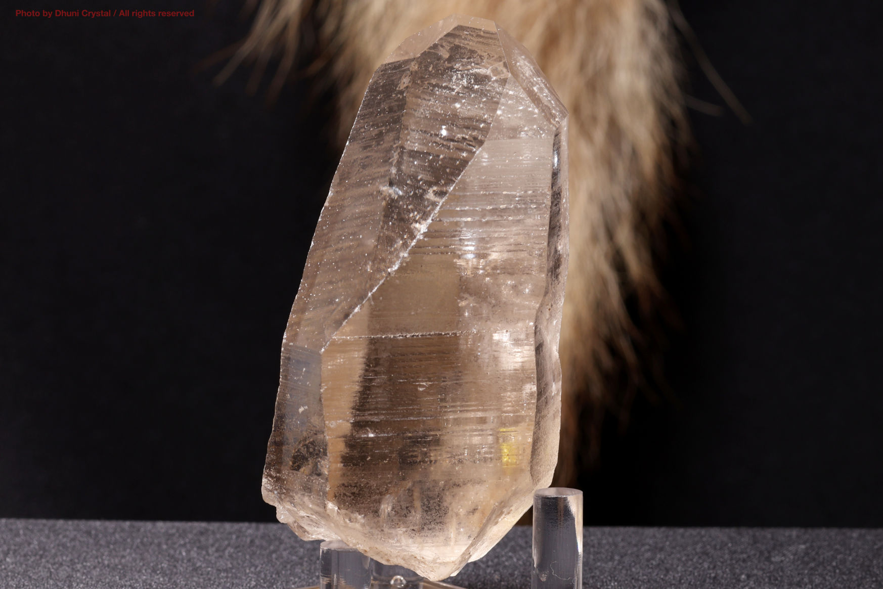 ☆幻の逸品☆極上別格品☆究極レムリアン☆レムリアンシードクリスタル 天然石 原石 ☆幻の逸品☆極上別格品☆究極レムリアン☆レムリアンシード