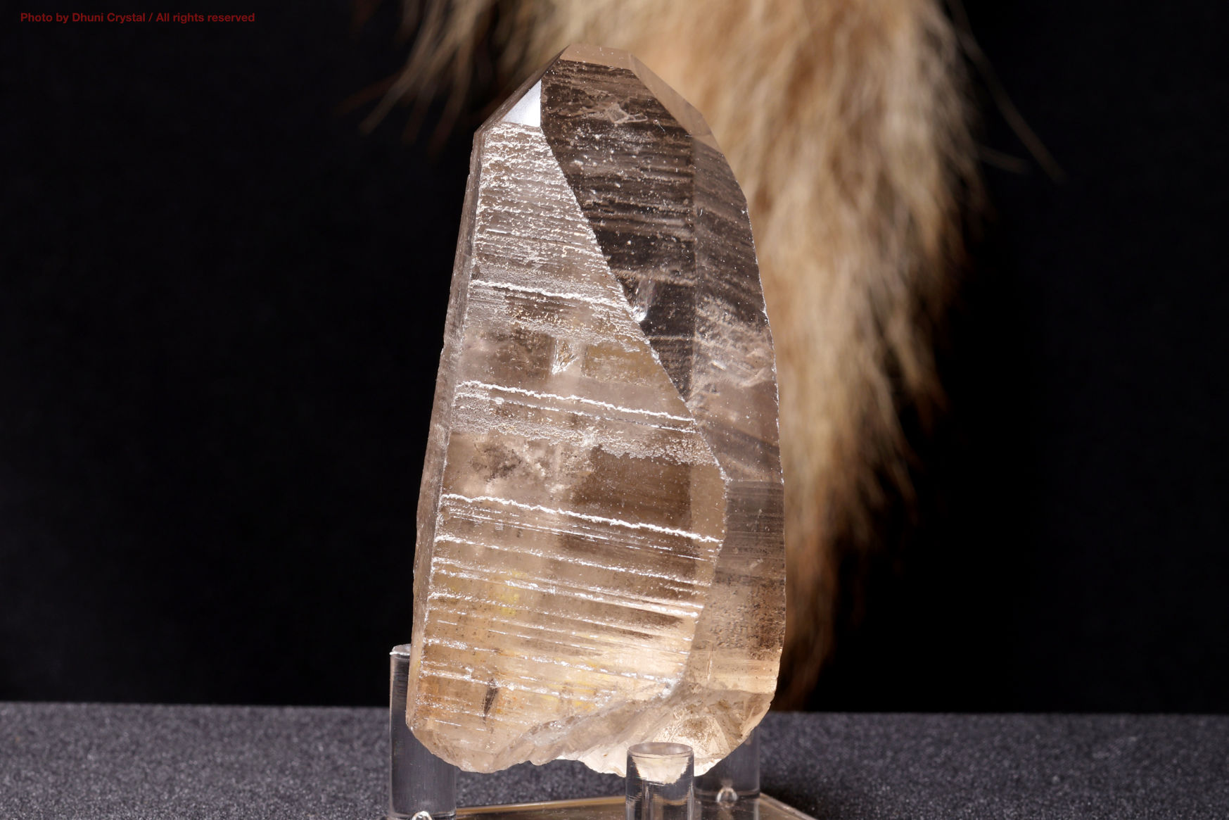 レムリアンシードクリスタル LM077 レムリアンシードクリスタル（水晶） 水晶天然石専門店ムーン