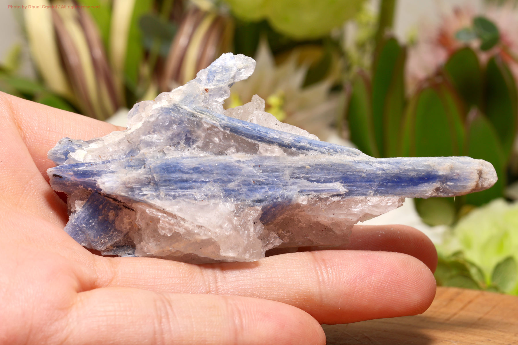 カイヤナイト 心と意識を整える青の導き石／真理と自己調和の