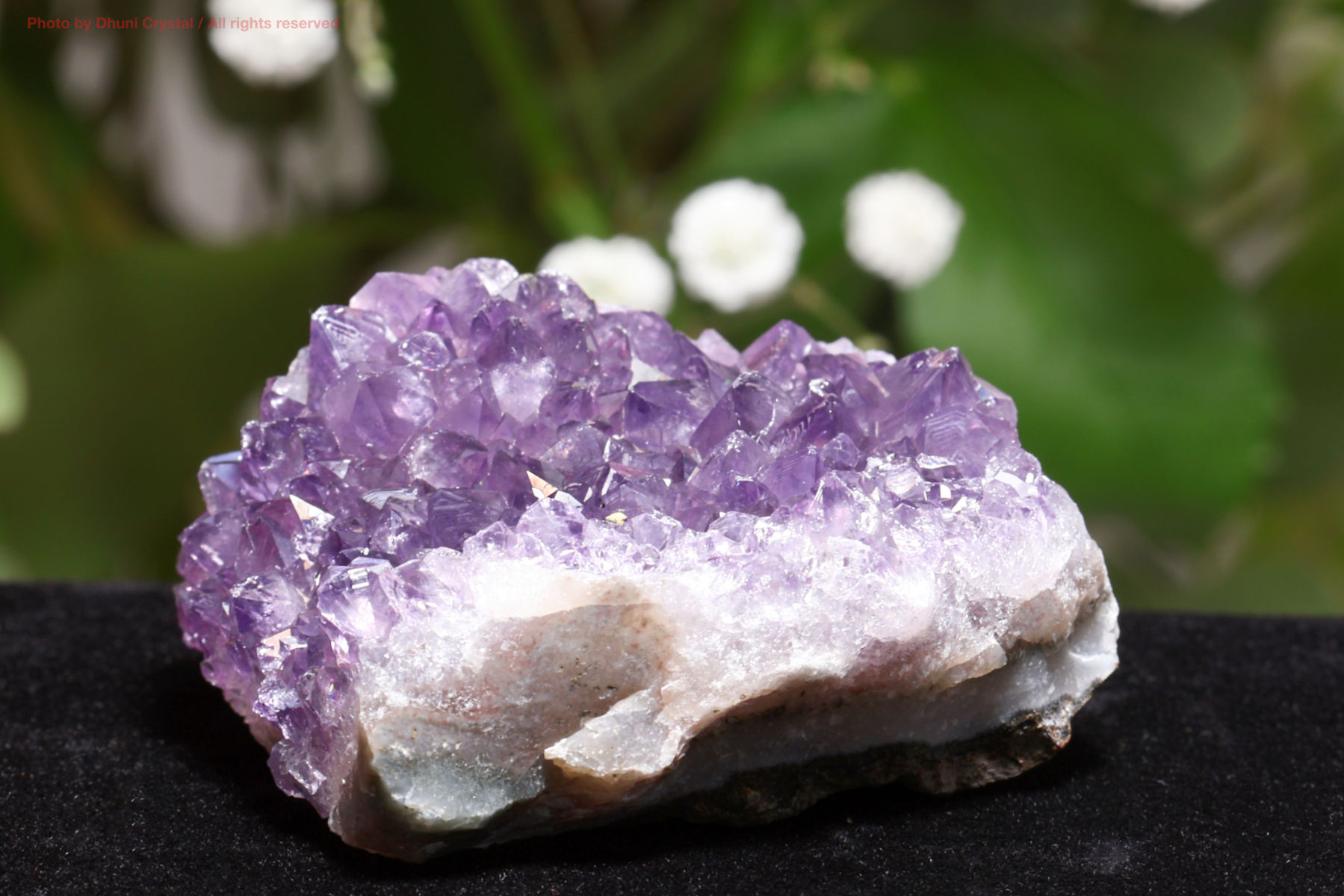 水晶アメジスト共生クラスターNo.11321 D 水晶アメジスト共生