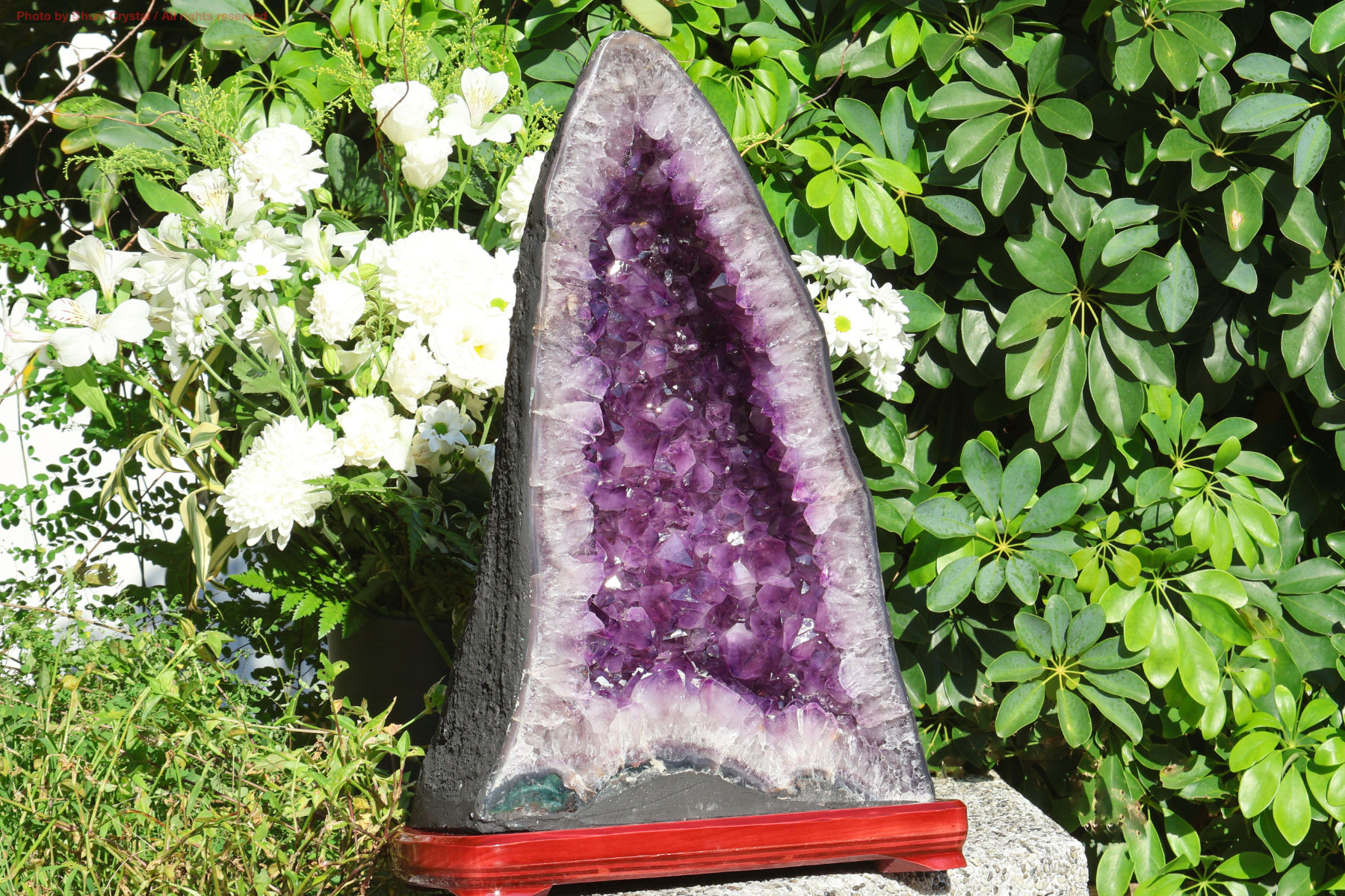 アメジストカペラ 空間を浄化し高波動で満たす神聖な天然水晶