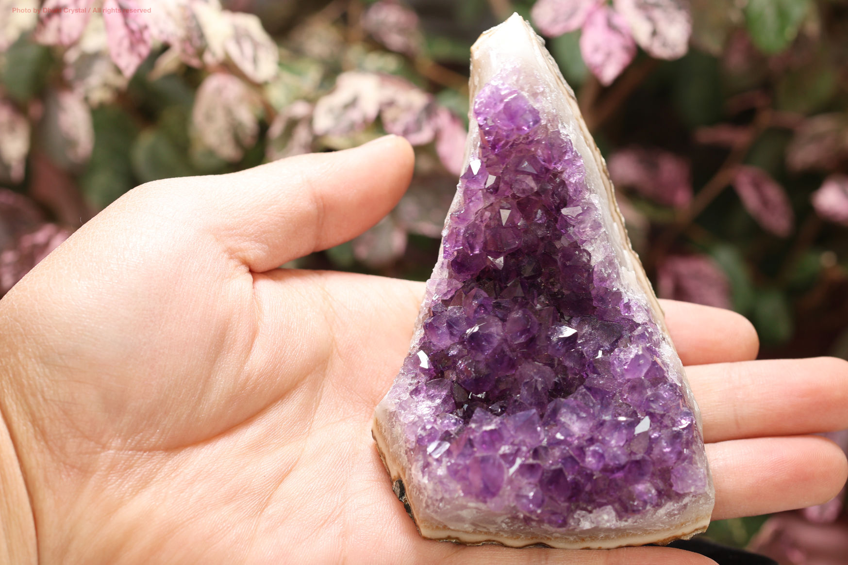 アメジストクラスター 空間を浄化し心を癒す高波動のヒーリングストーン