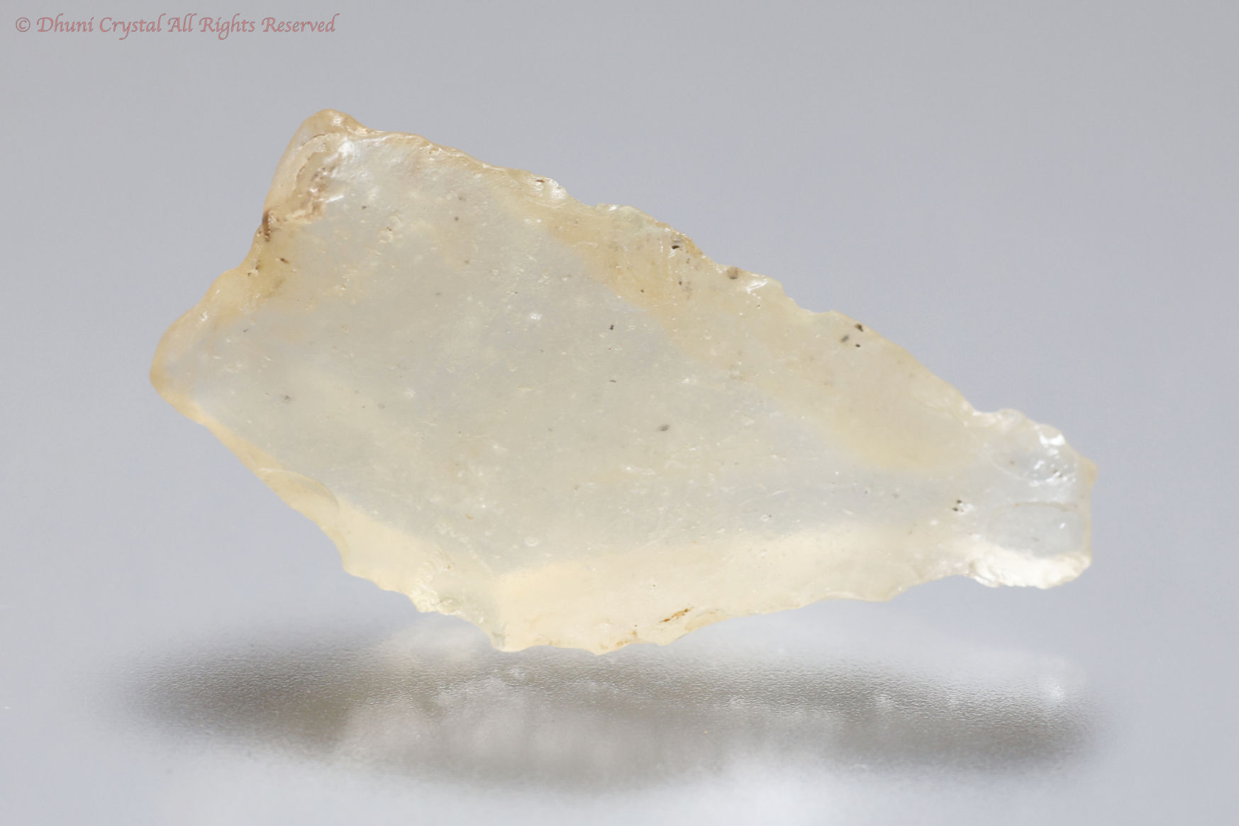 リビアングラス(T72)