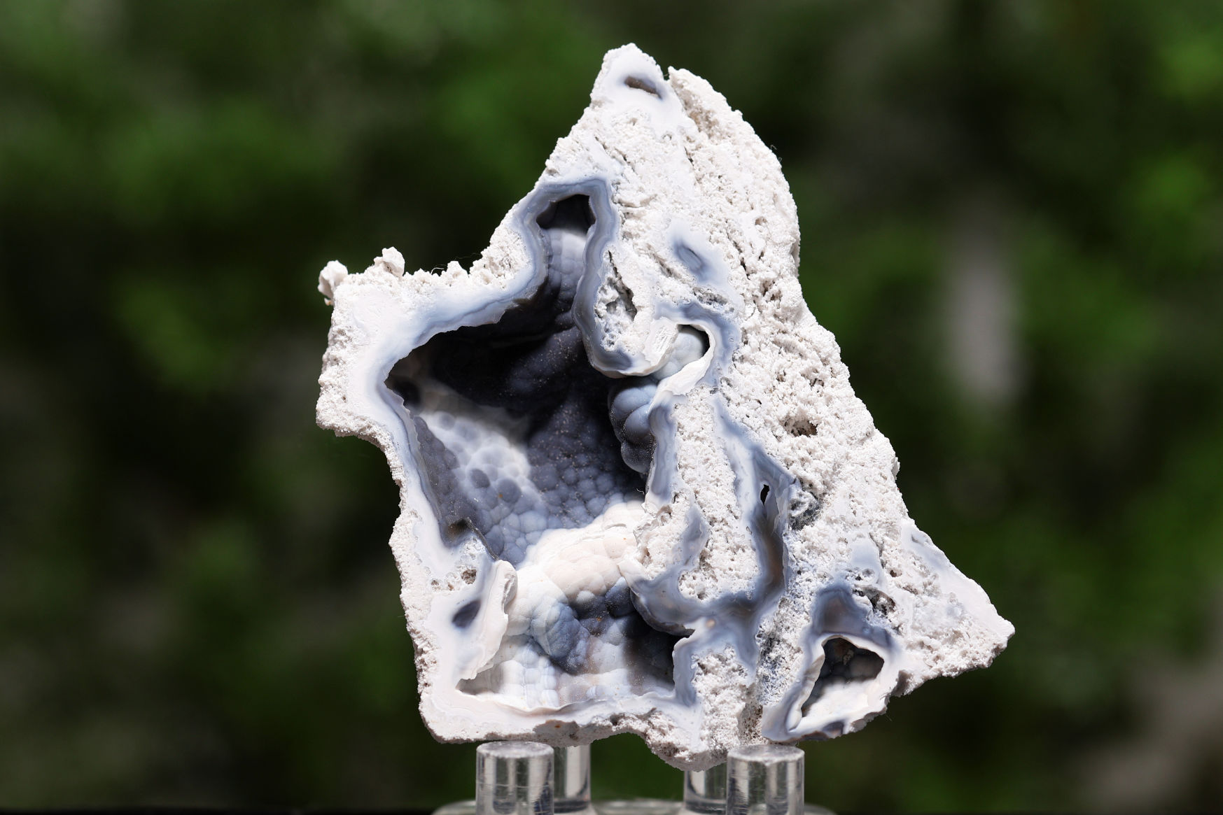 アゲート化サンゴ｜珊瑚の化石が瑪瑙化した天然石・グラウンディング