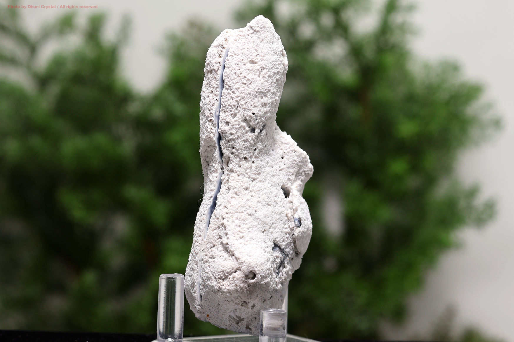 アゲート化サンゴ｜珊瑚の化石が瑪瑙化した天然石・グラウンディング