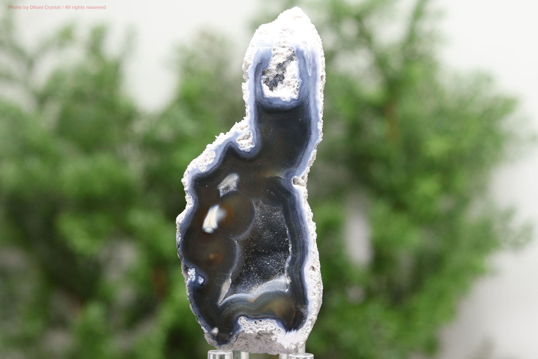 アゲート化サンゴ｜珊瑚の化石が瑪瑙化した天然石・グラウンディング