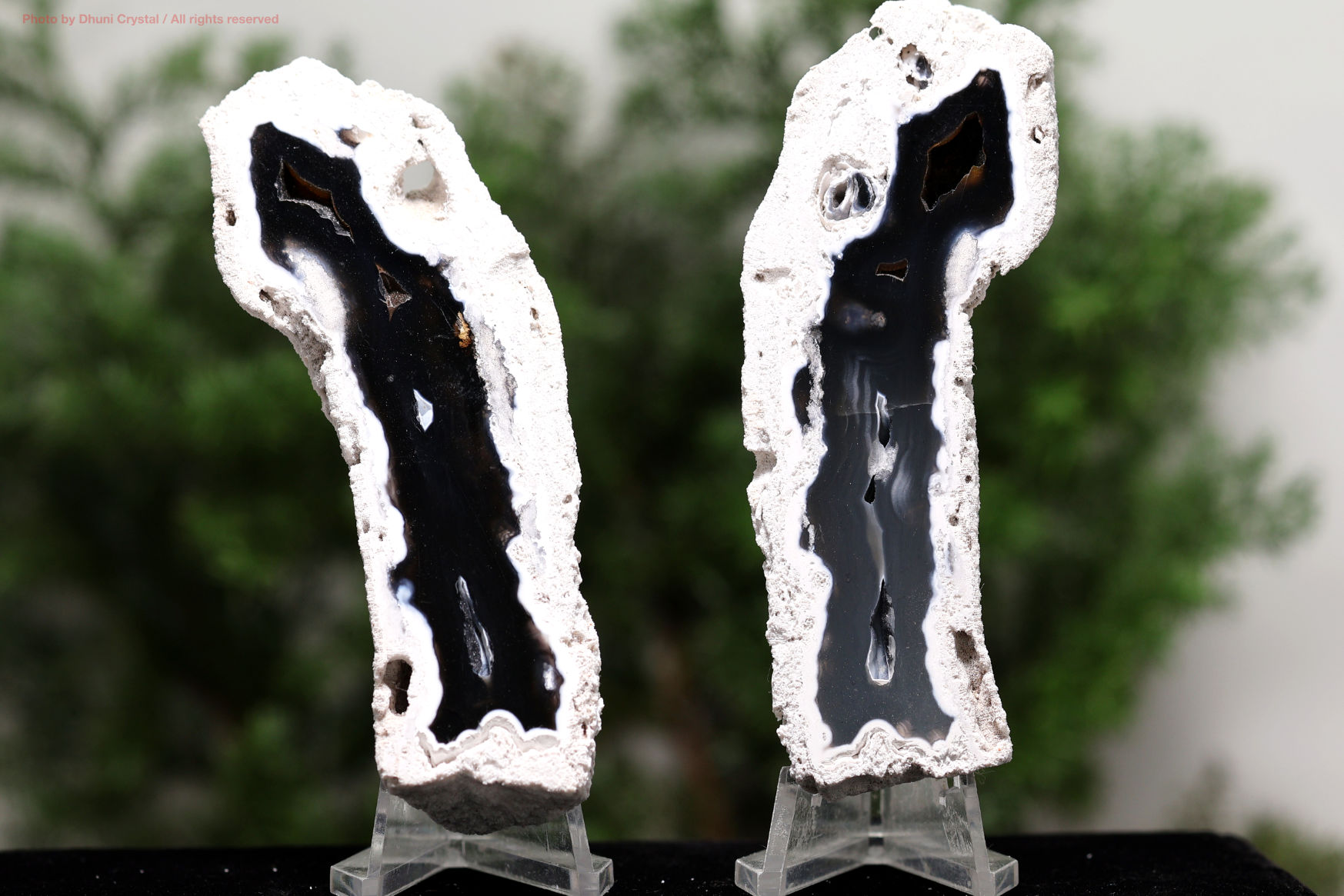 アゲート化サンゴ｜珊瑚の化石が瑪瑙化した天然石・グラウンディング