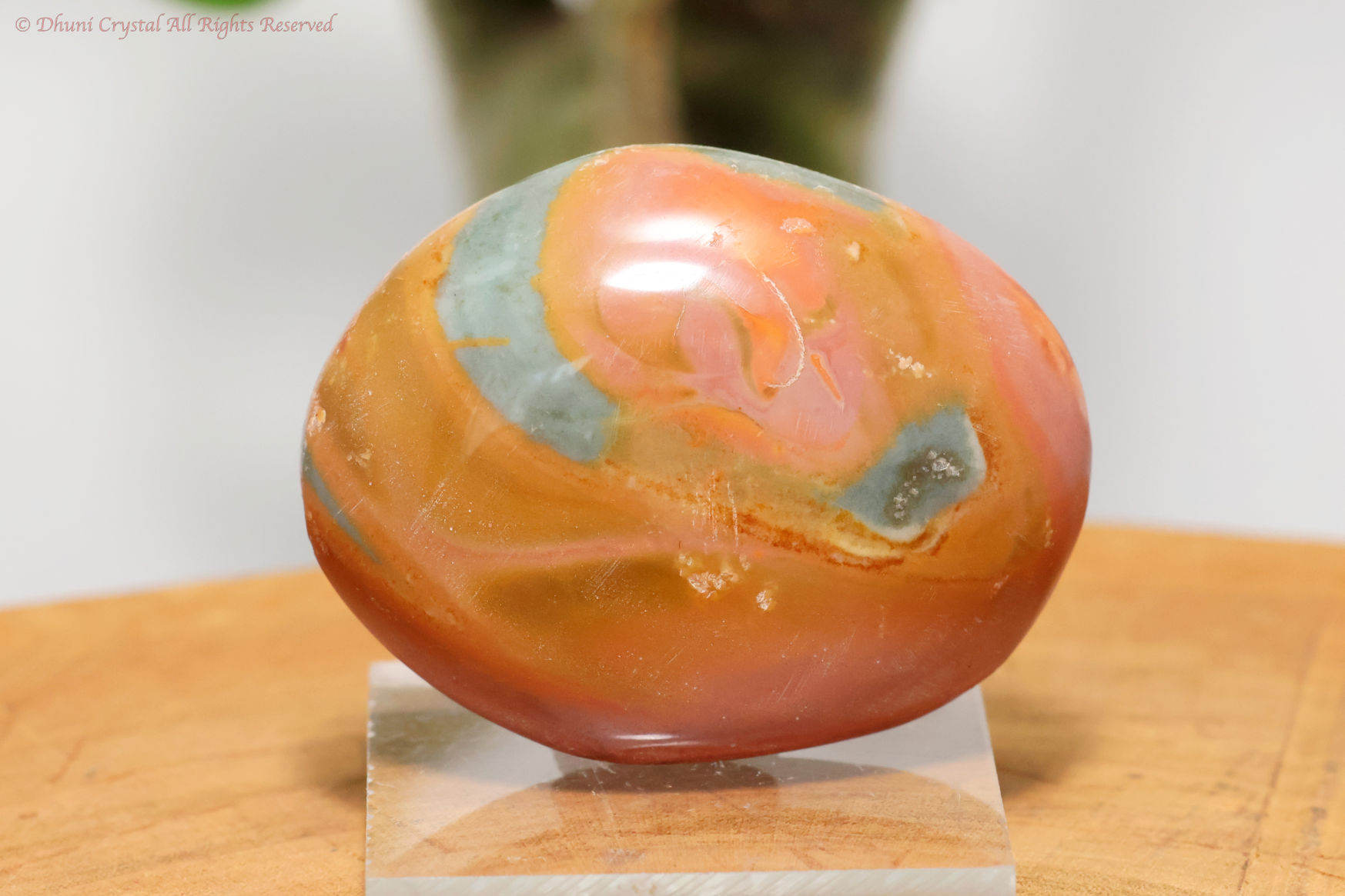 確認用 ポリクロームジャスパー ポリクロームジャスパー（T81）