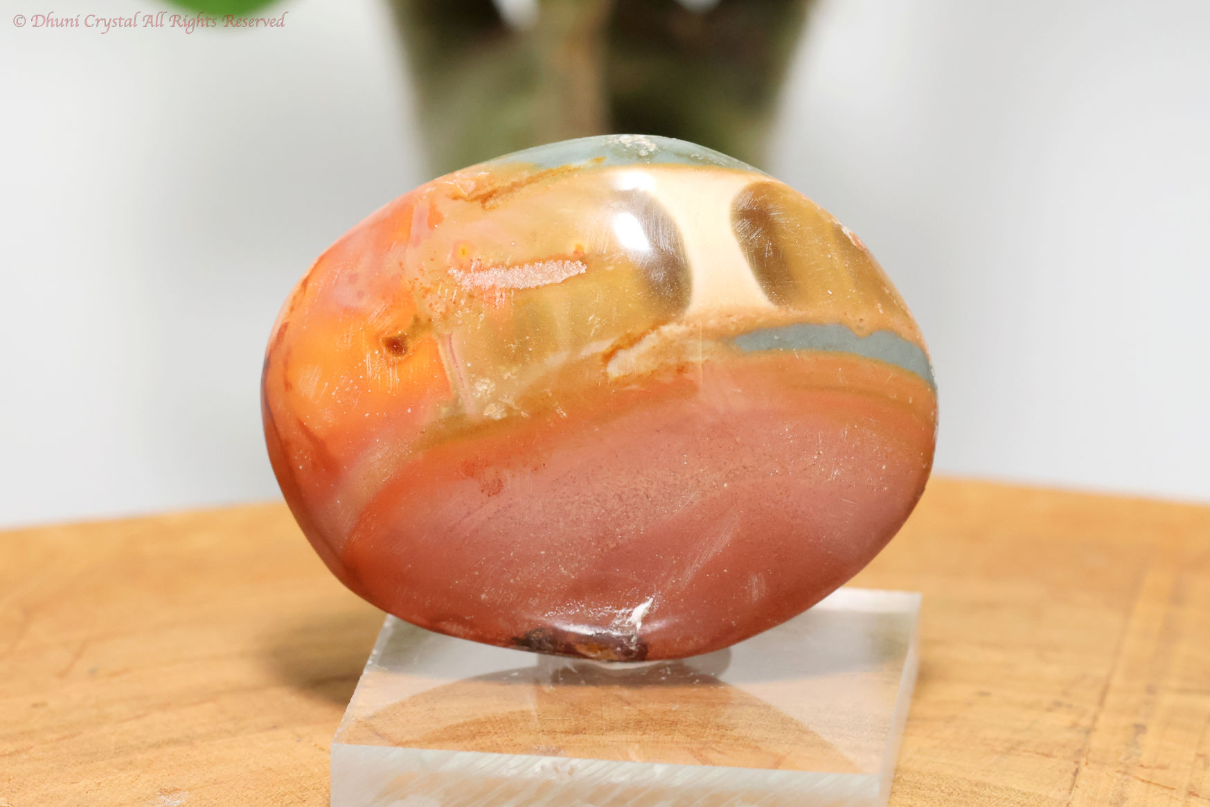 ポリクロームジャスパー（T81）