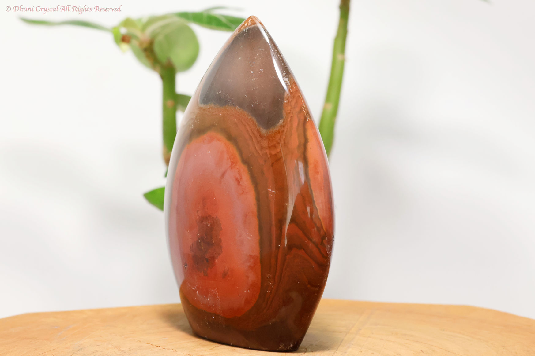 ポリクロームジャスパー（T84）