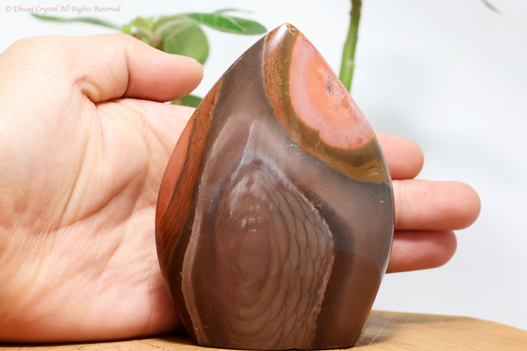 ポリクロームジャスパー（T84）