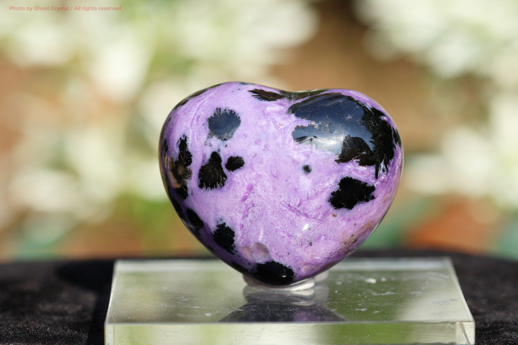 チャロアイト 恐れを手放し心を浄化する高波動ストーン