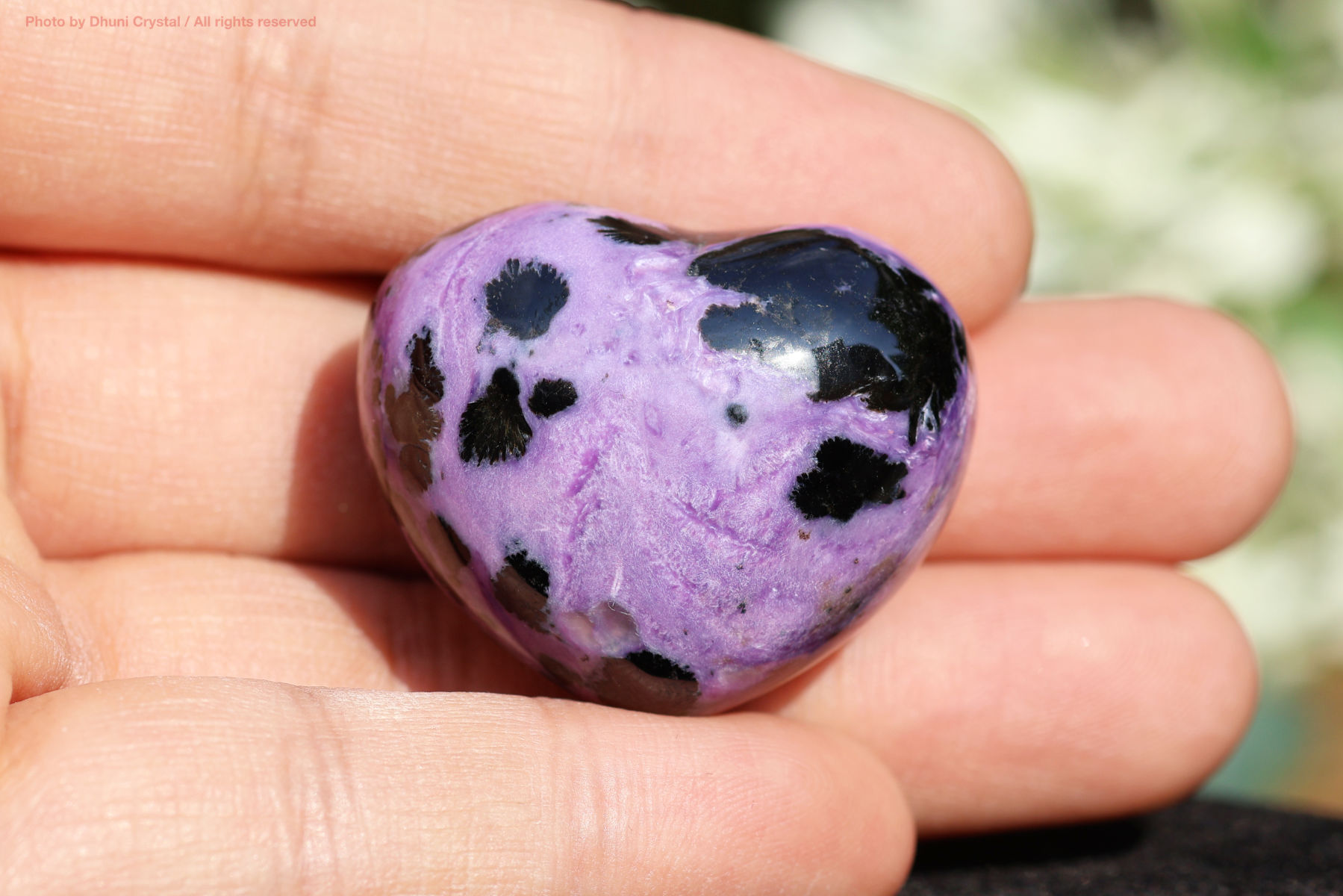 チャロアイト 恐れを手放し心を浄化する高波動ストーン