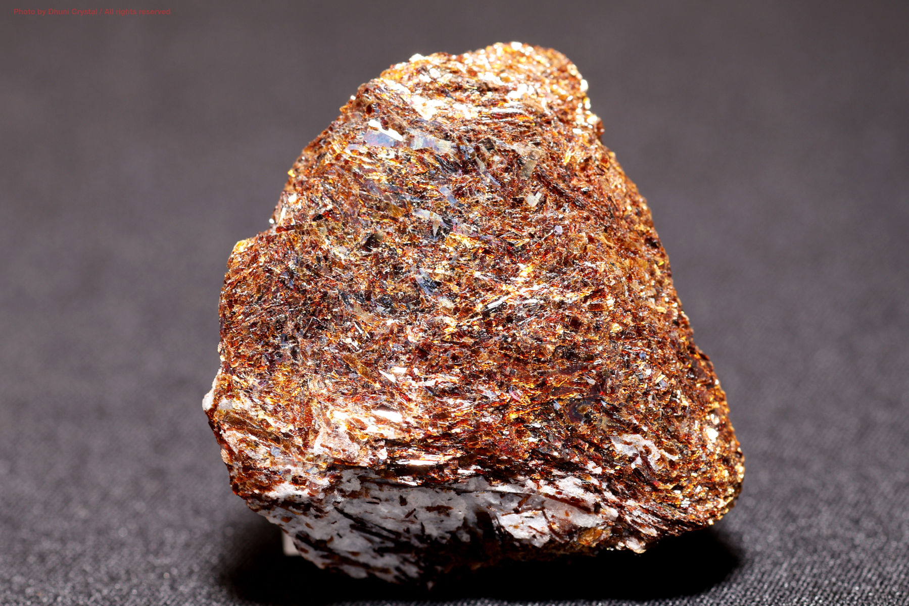 オーシャンジャスパー/スライス(D744）