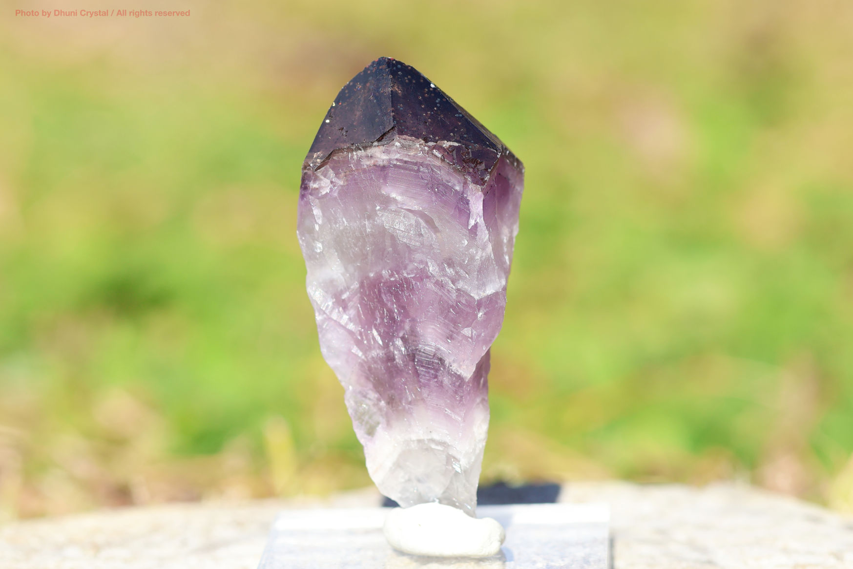 オーラスターライト23 側面からの写真