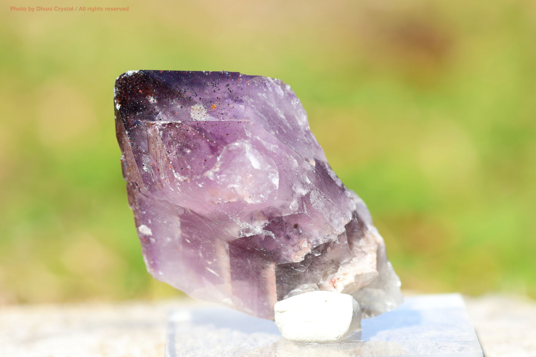 オーラスターライト23 側面からの写真