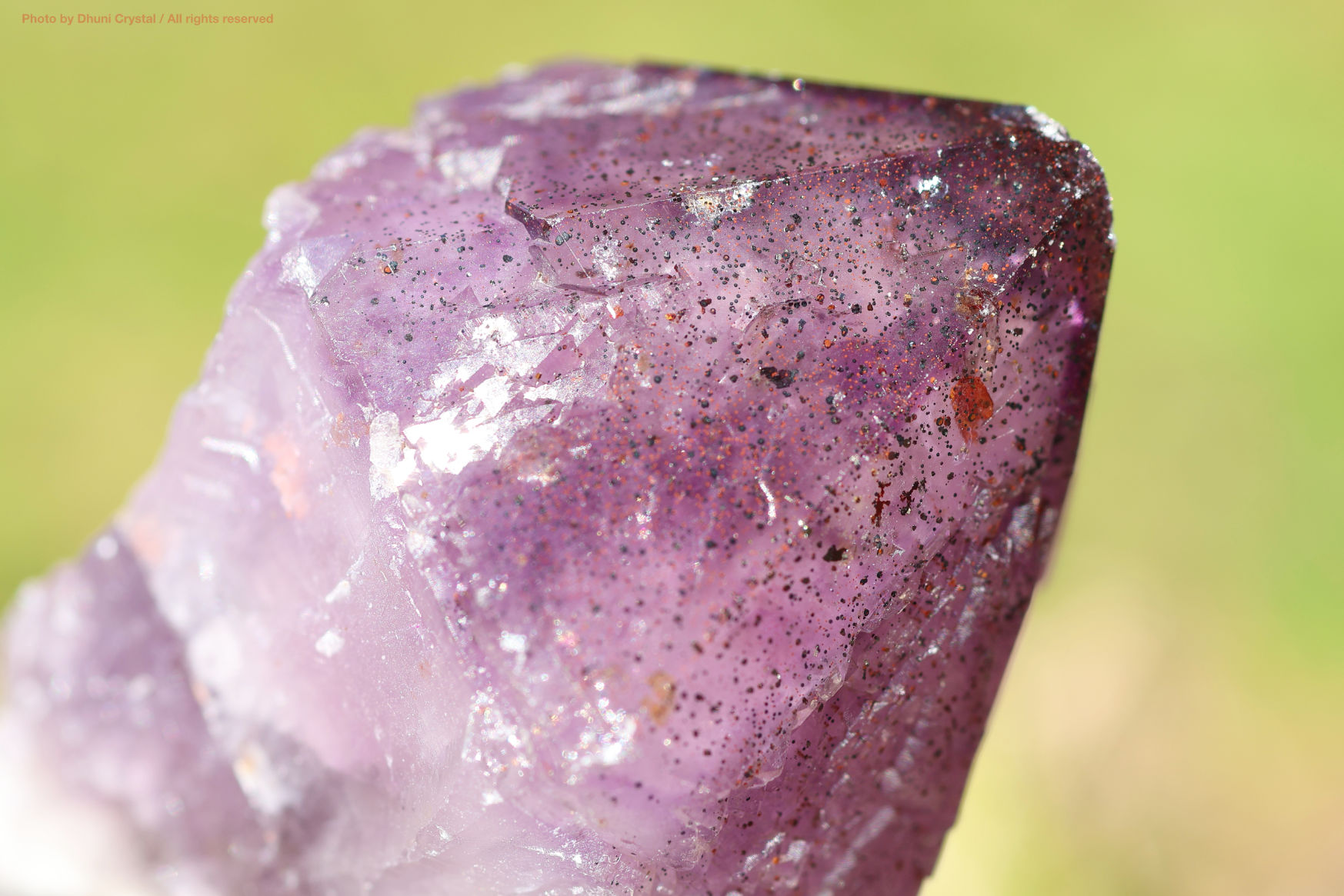 オーラスターライト23 側面からの写真