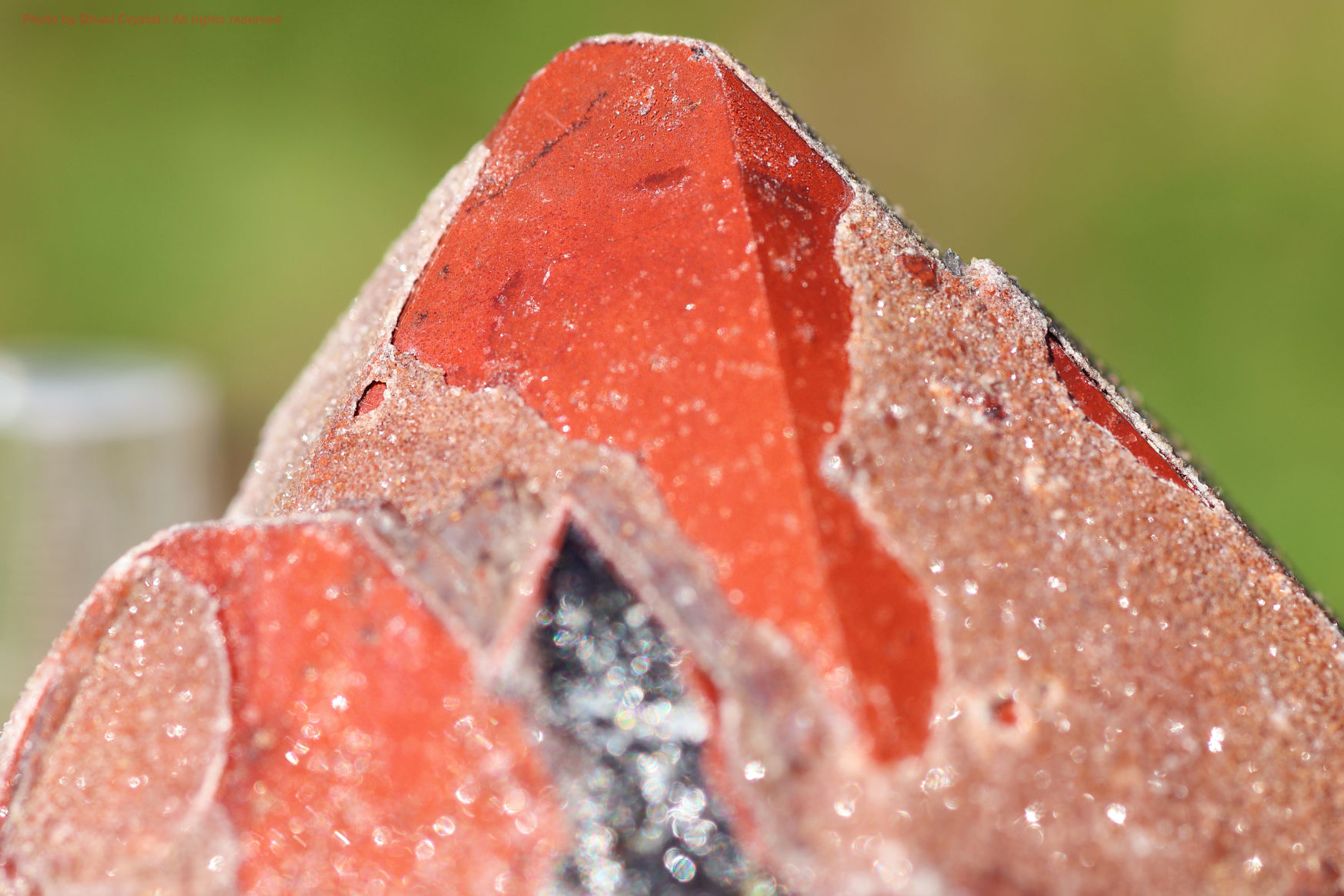 オーラスターライト23 側面からの写真