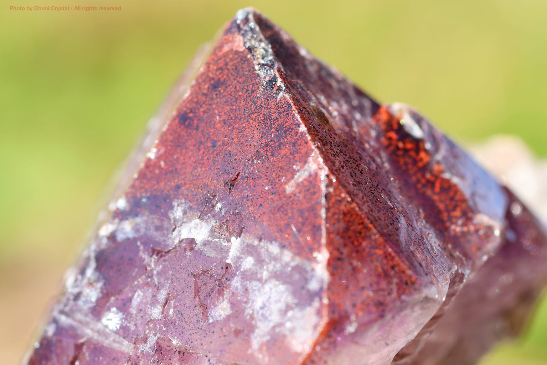 オーラスターライト23 側面からの写真