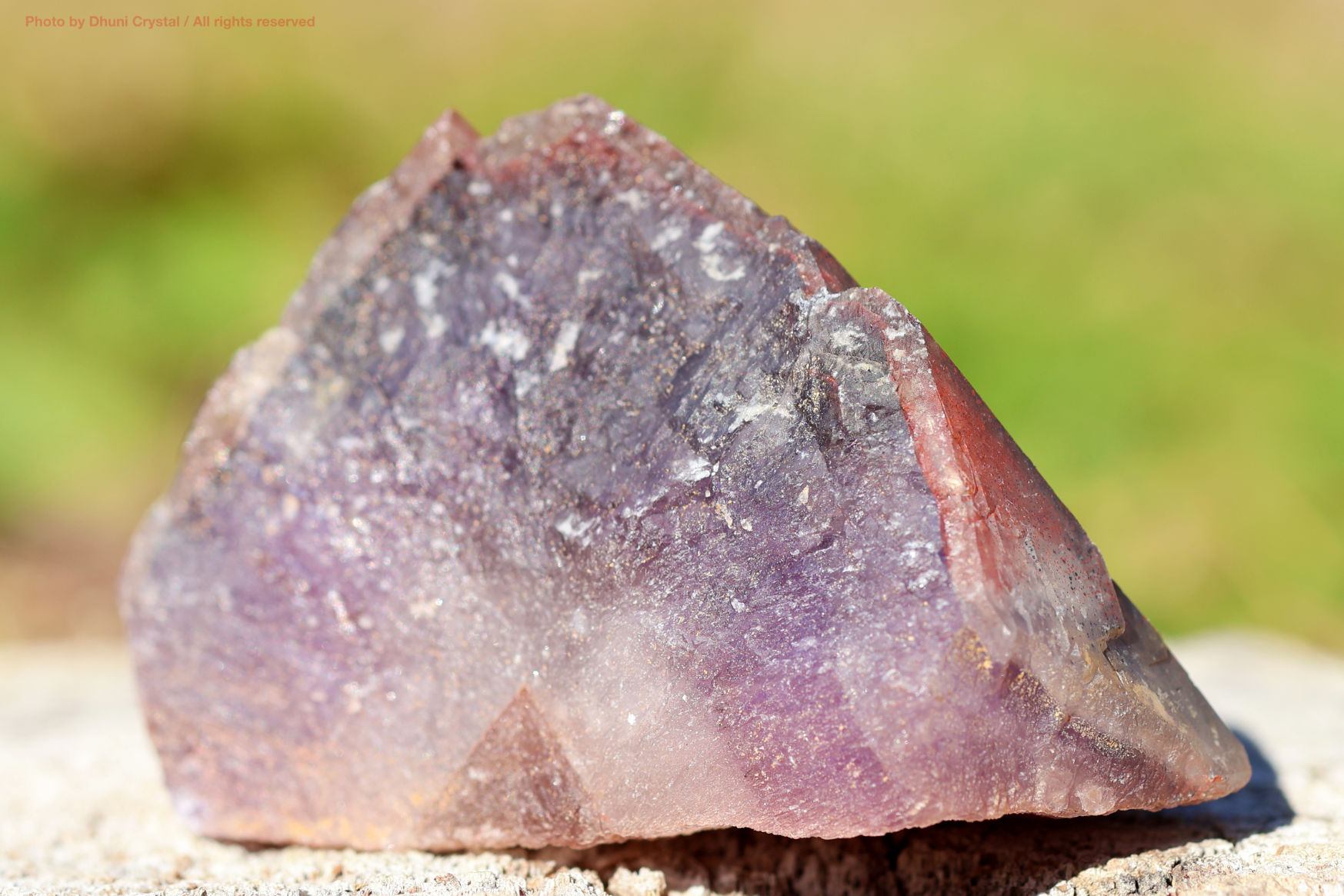 オーラスターライト23 側面からの写真