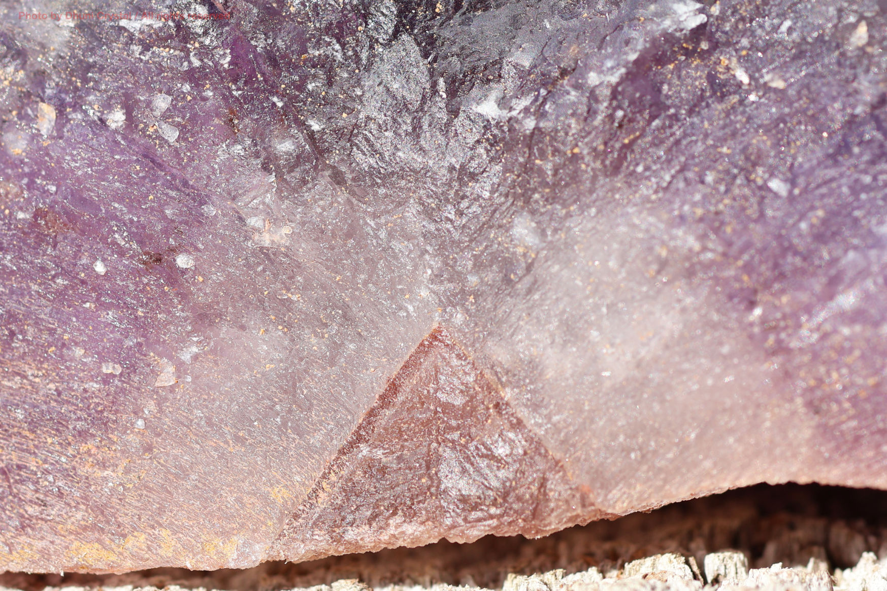 オーラスターライト23 側面からの写真