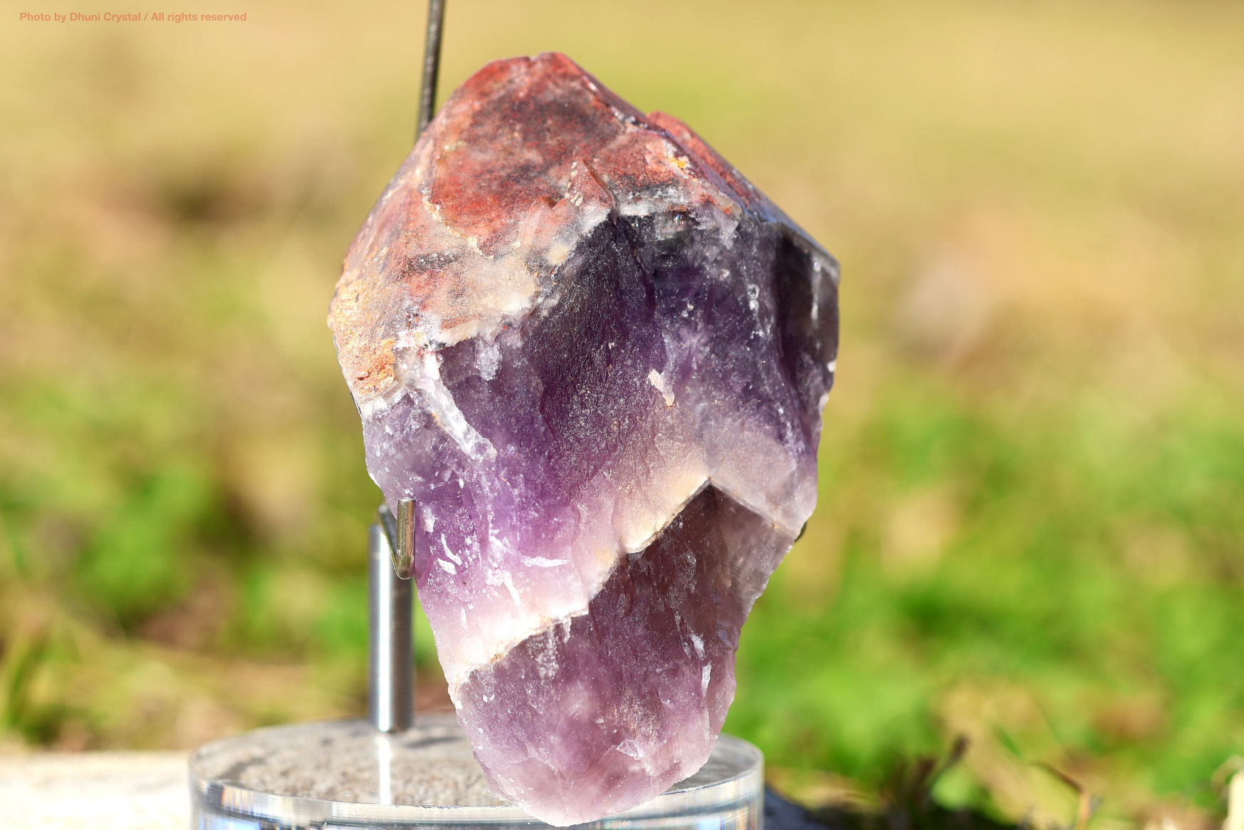 オーラスターライト23 側面からの写真